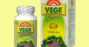 Seputar Vegeblend for Adults